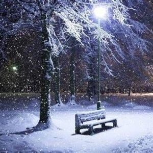 Meet your Posher, Sherry